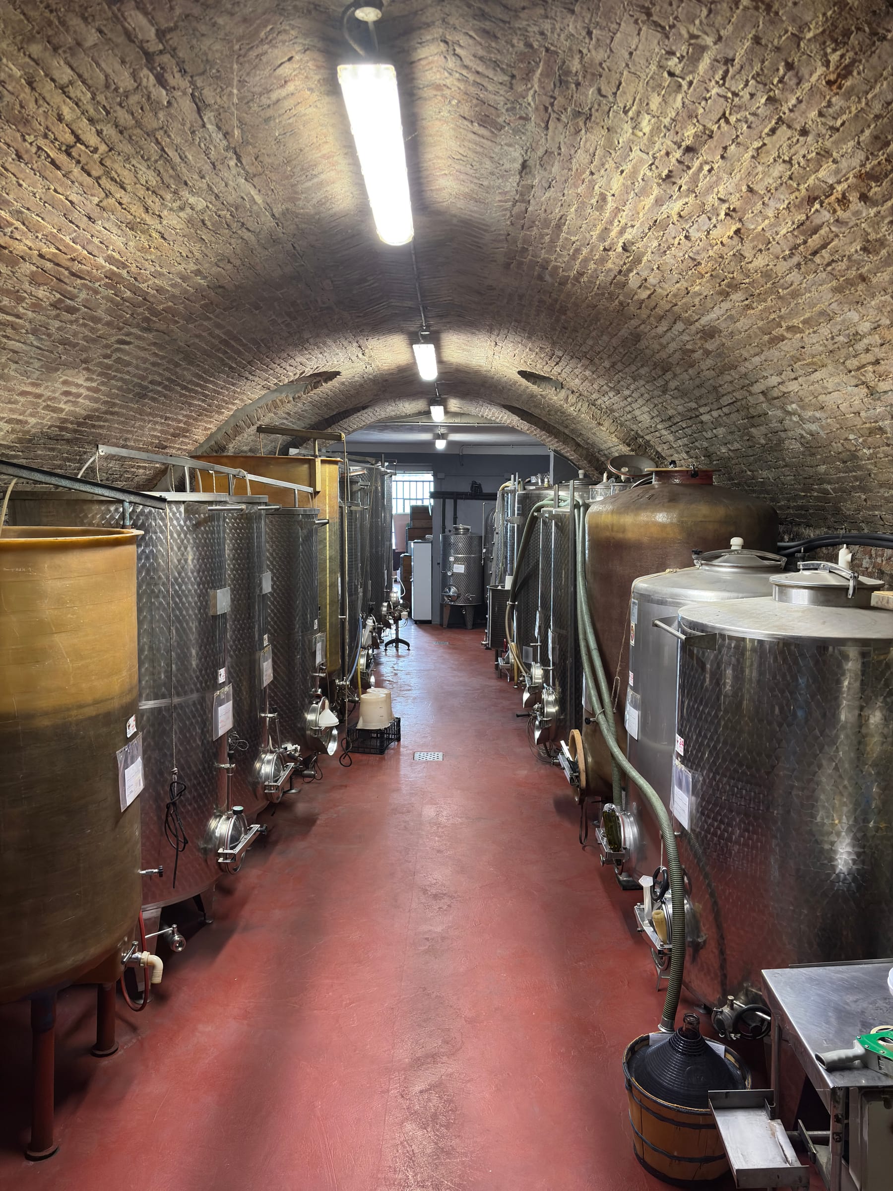 La cantina Montarello: volta in mattoni e file di vasche
